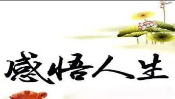 个人感悟