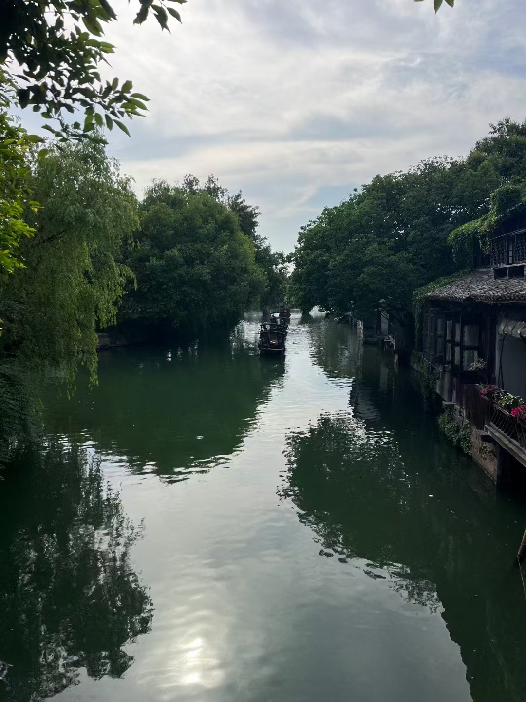2万吨智利车厘子到达中国：价格赢来大跳水